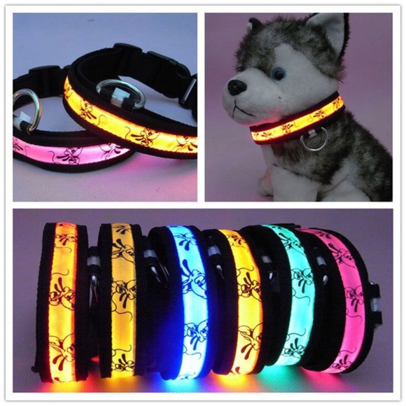 🆕Cute lighted ~LED Disney Pluto ~nylon dog collar - Picture 2 of 4